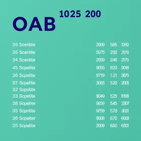 Exame OAB 2025: Resultado, Gabarito