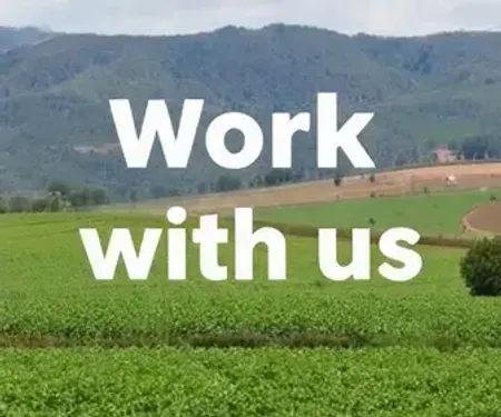 SLC Agrícola Trabalhe Conosco: Vagas Abertas