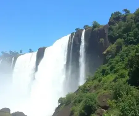 Detran Foz do Iguaçu: Telefone, Endereço e Agendamento
