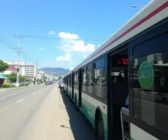 Porto Velho terá ônibus grátis nos dois turnos das eleições; tarifa será zerada por 13 horas